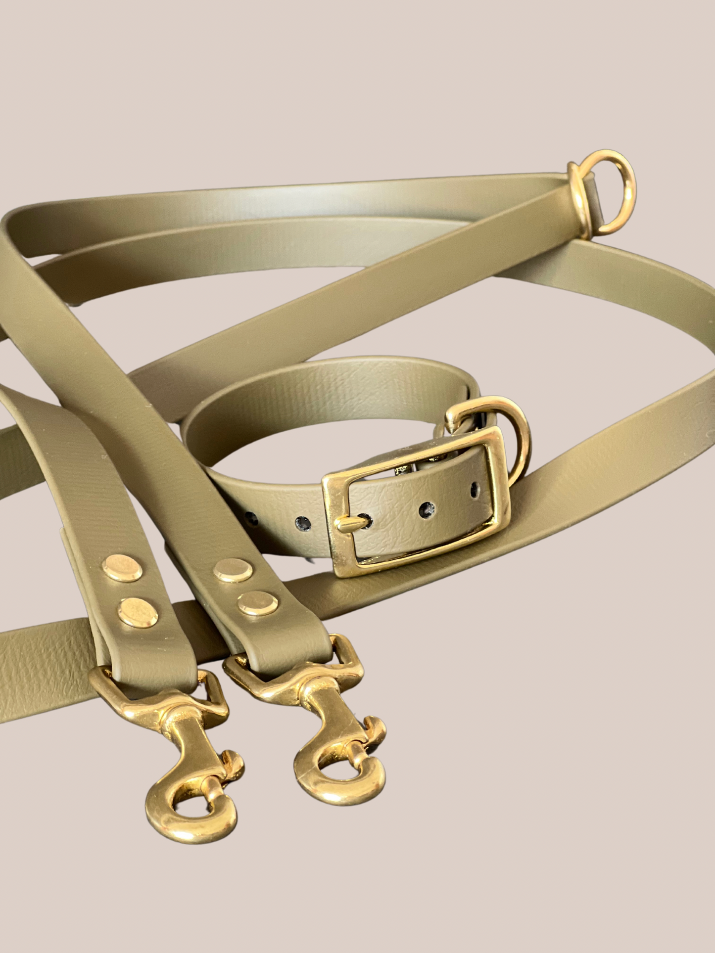 Individuell erstellbar | Biothane Halsband | kleine, mittelgroße und große Hunde