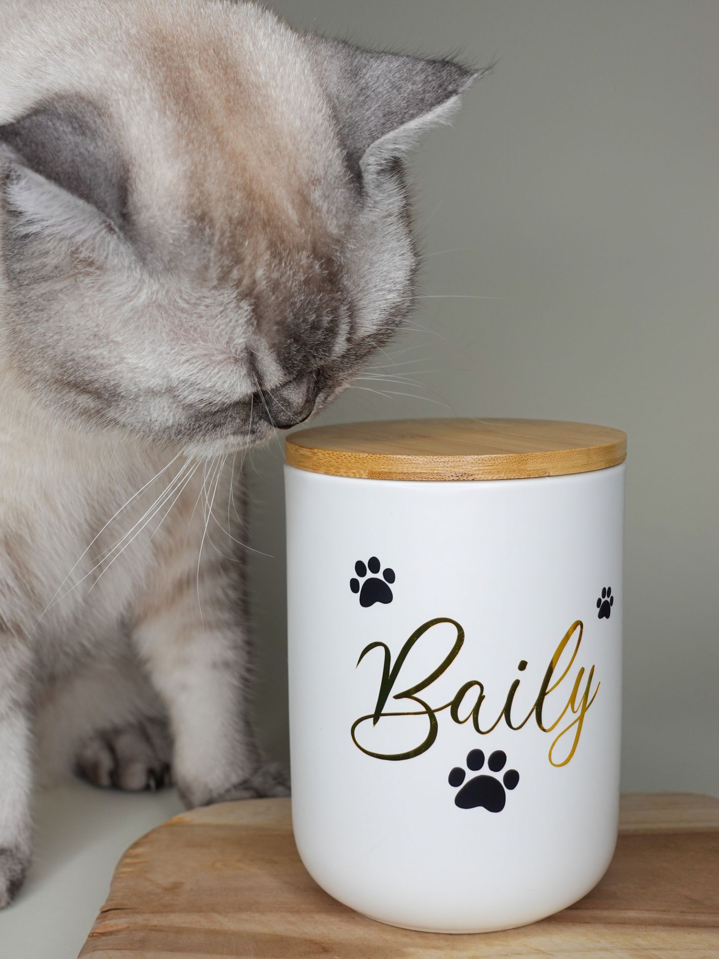 Leckerlidose | Katzen und Hunde 800ml | personalisiert