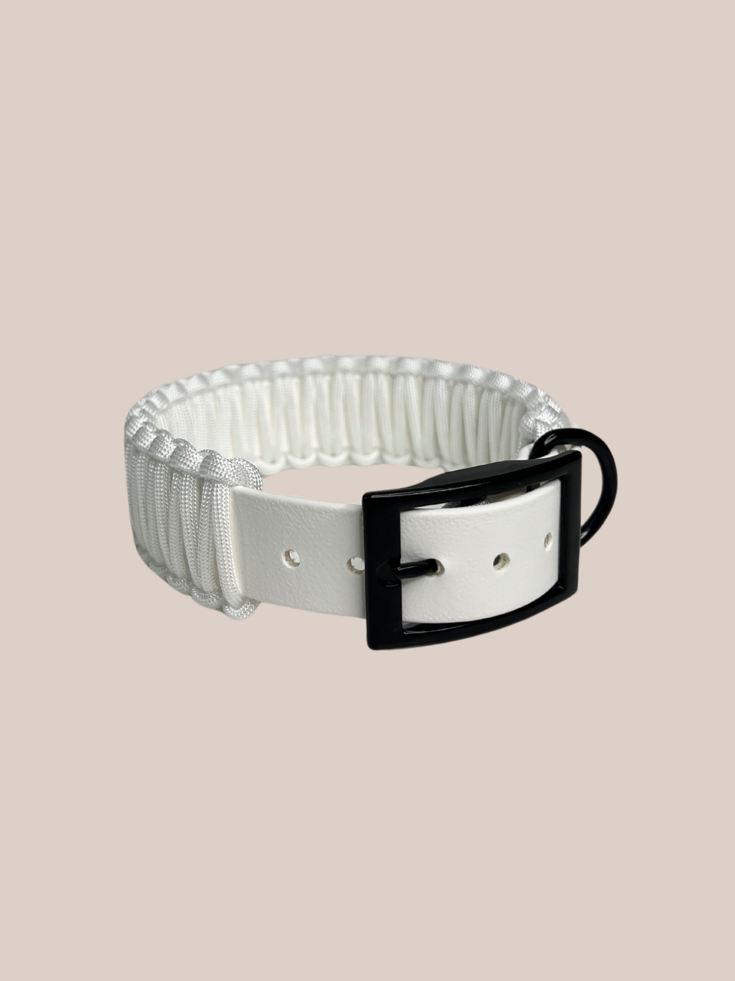 Individuell erstellbar | Biothane x Paracord Halsband | mittelgroße und große Hunde