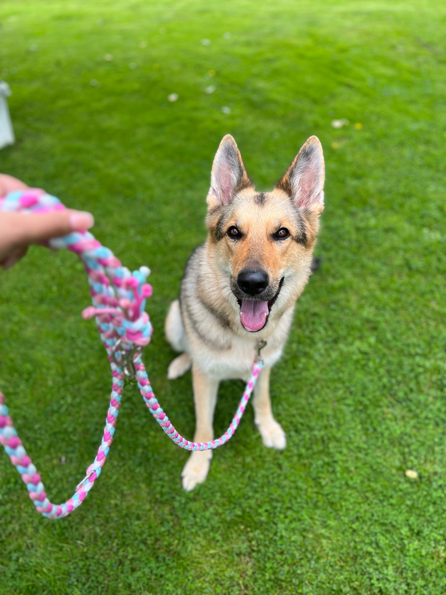 Individuell erstellbare Hundeleine | Diamond | Paracord