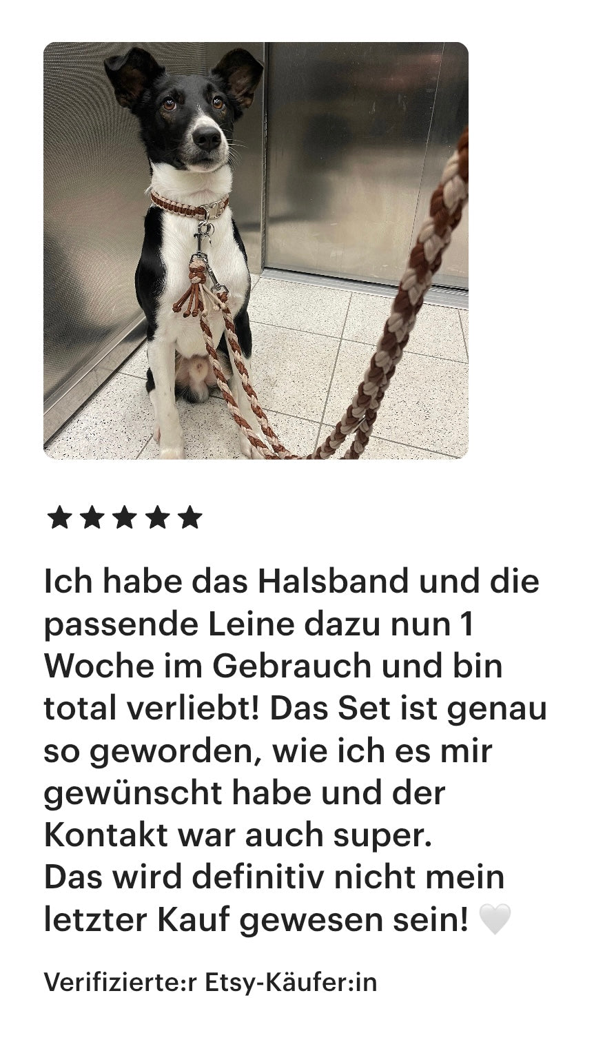 Individuell erstellbare Hundeleine | Diamond | Paracord