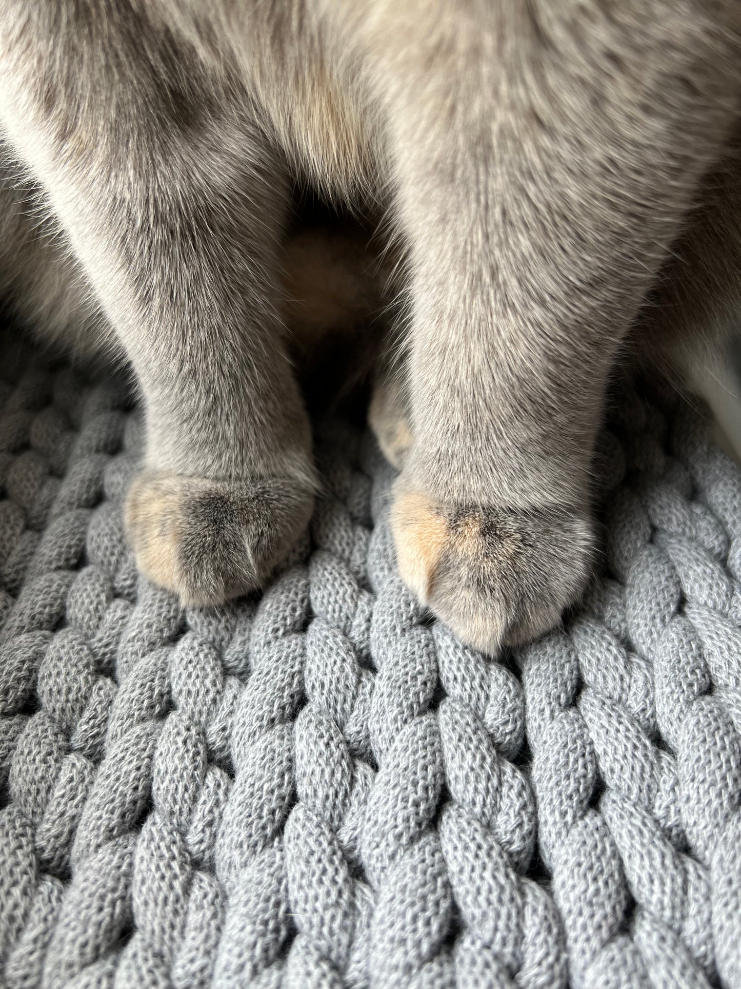 Crocheted mat | Sleeping place