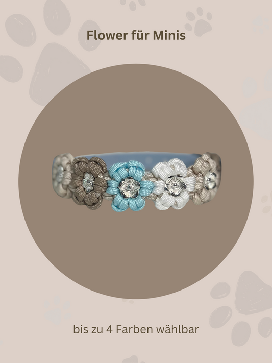 Individuell erstellbar | Halsband Flower für Minis | sehr kleine und kleine Hunde
