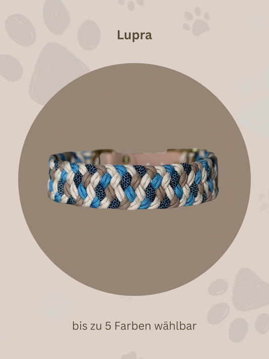 Individuell erstellbar | Halsband Lupra | mittelgroße und große Hunde