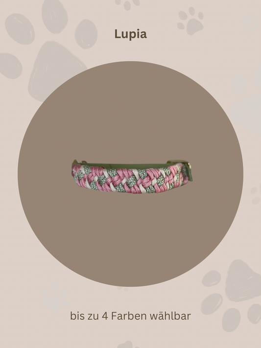 Individuell erstellbar | Halsband Lupia | kleine und mittelgroße Hunde