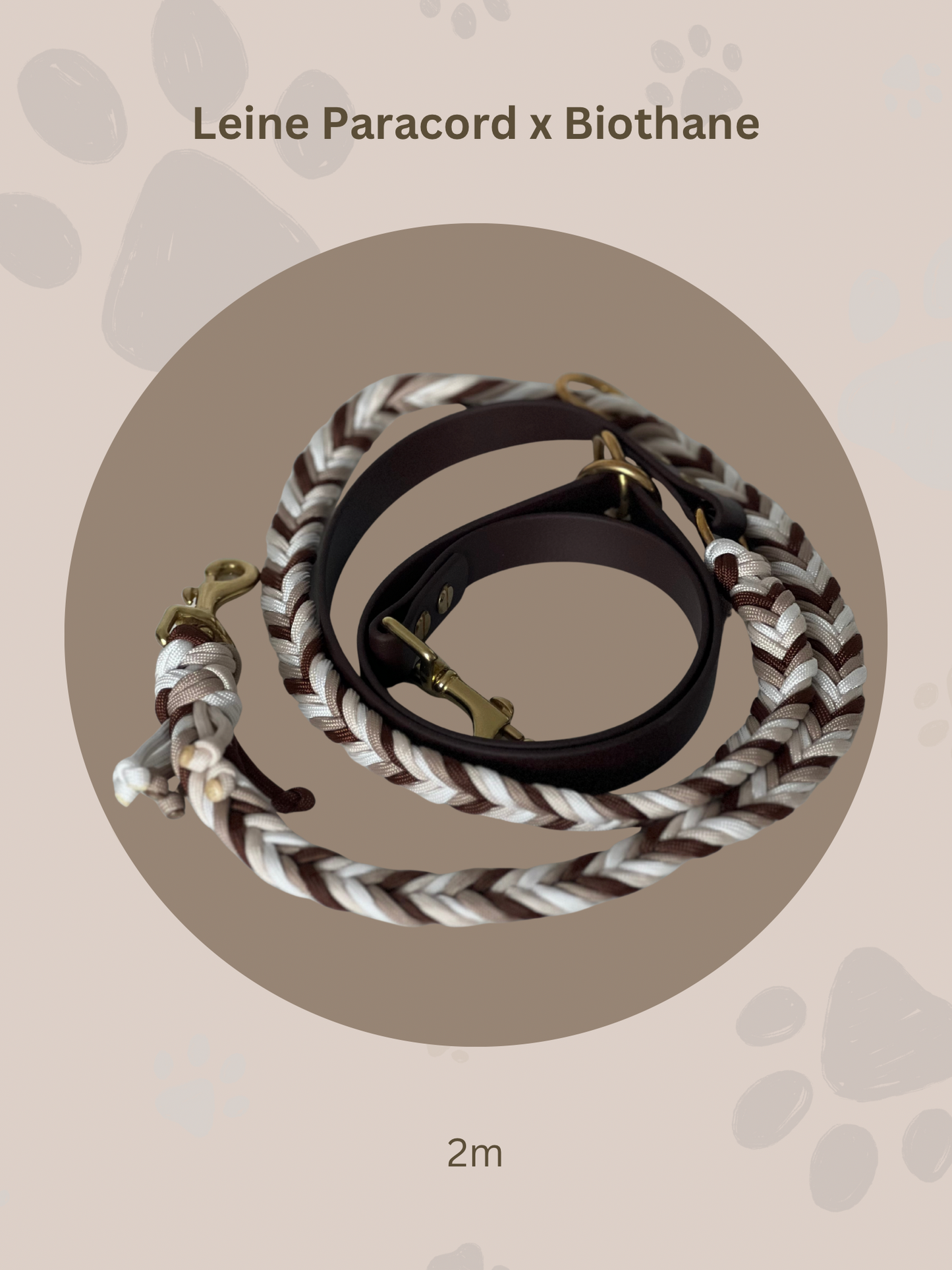 Sofortkauf | Paracord x Biothane Leine 2m