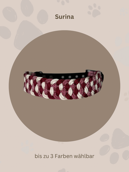 Individuell erstellbar | Halsband Surina | kleine und mittelgroße Hunde