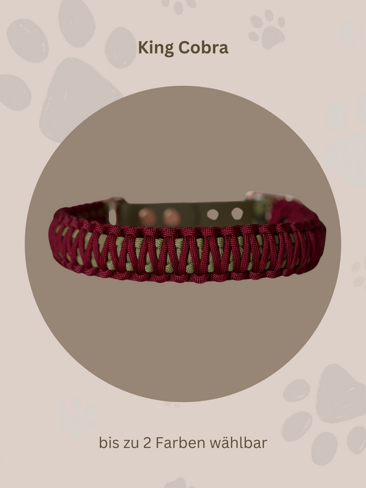 Individuell erstellbar | Halsband King Cobra | mittelgroße und große Hunde