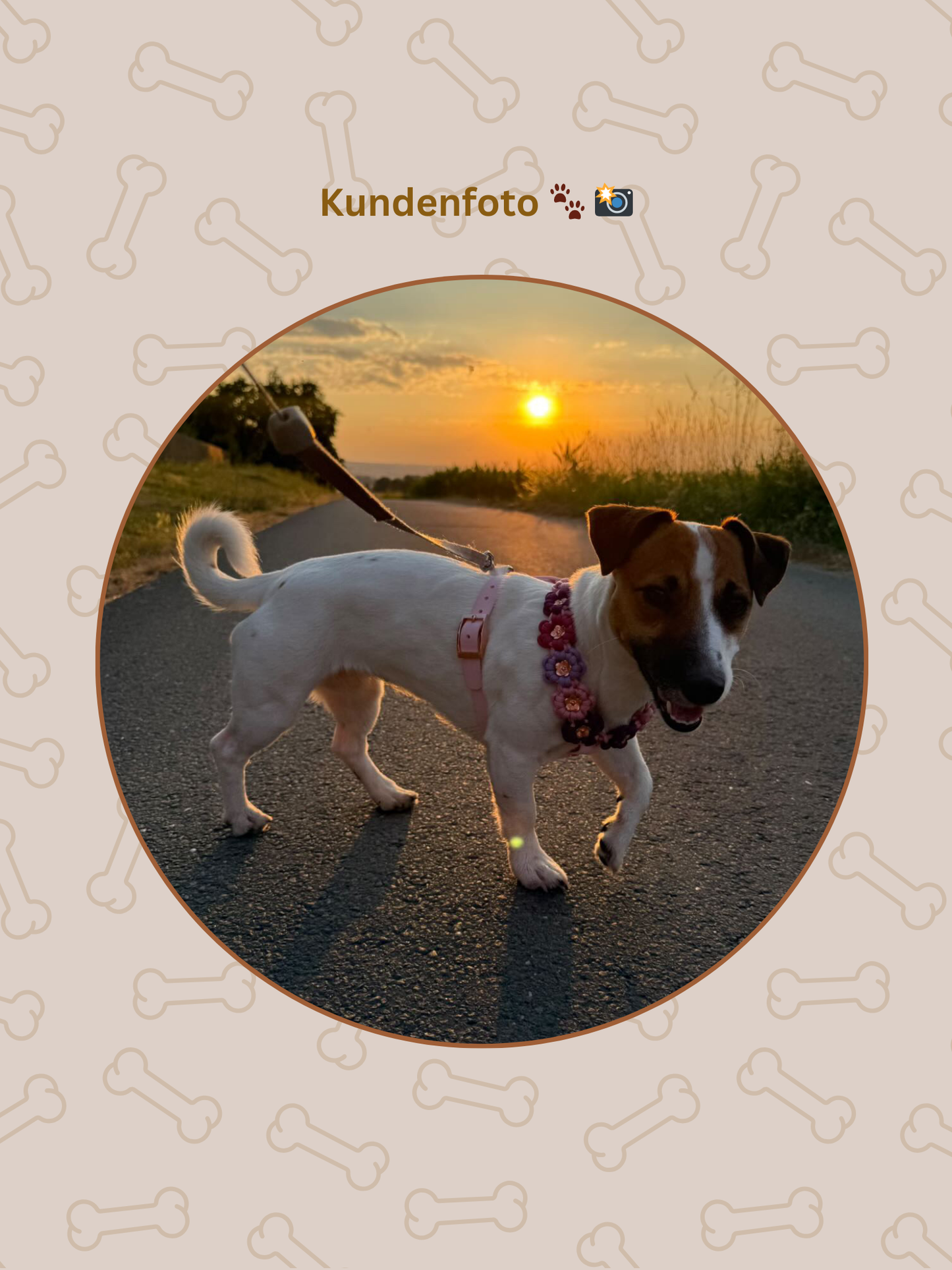 Individuell erstellbar | Geschirr Flower | alle Hundegrößen