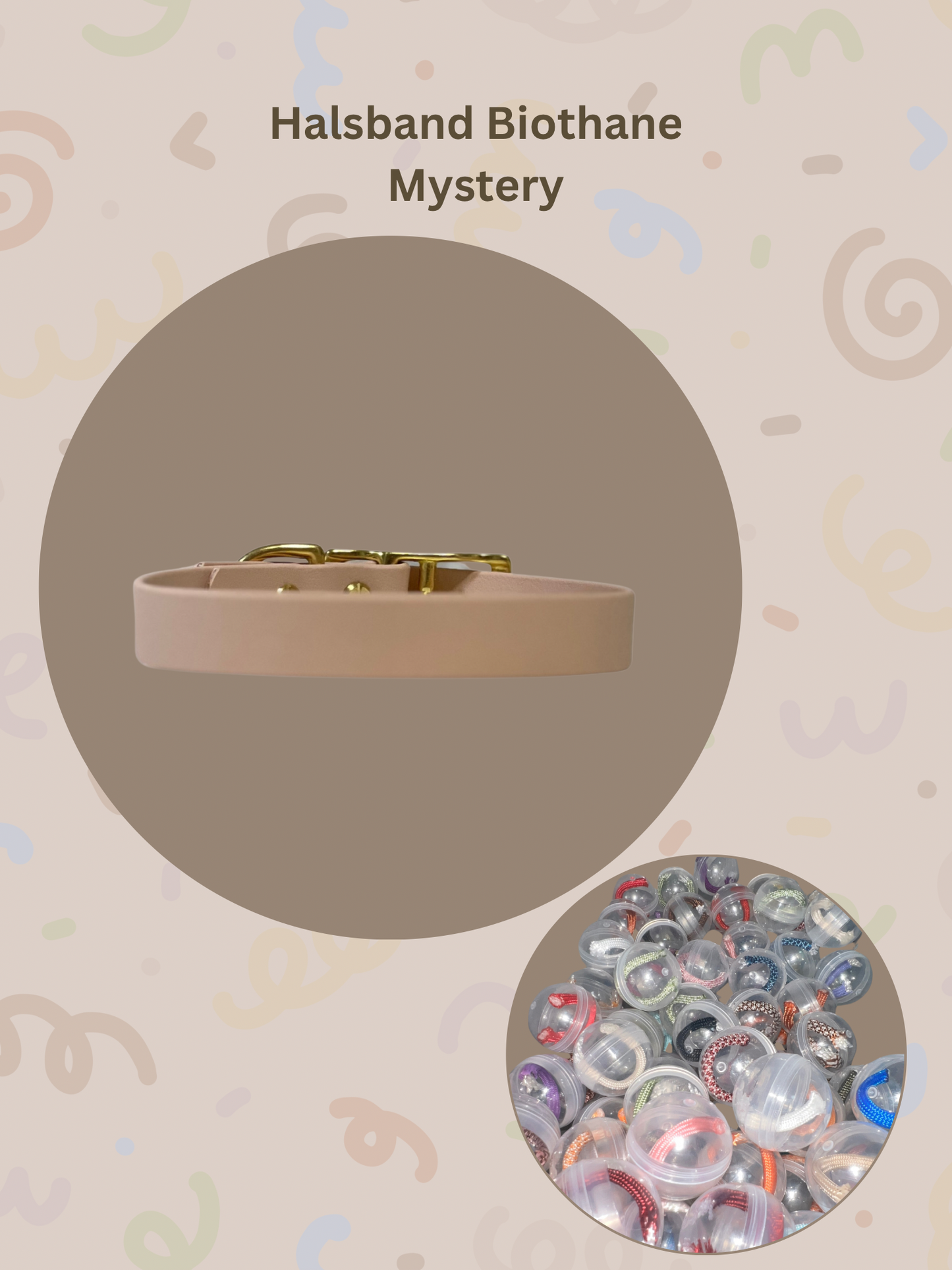 Mystery Box Dog Leash | Paracord | Random Colors