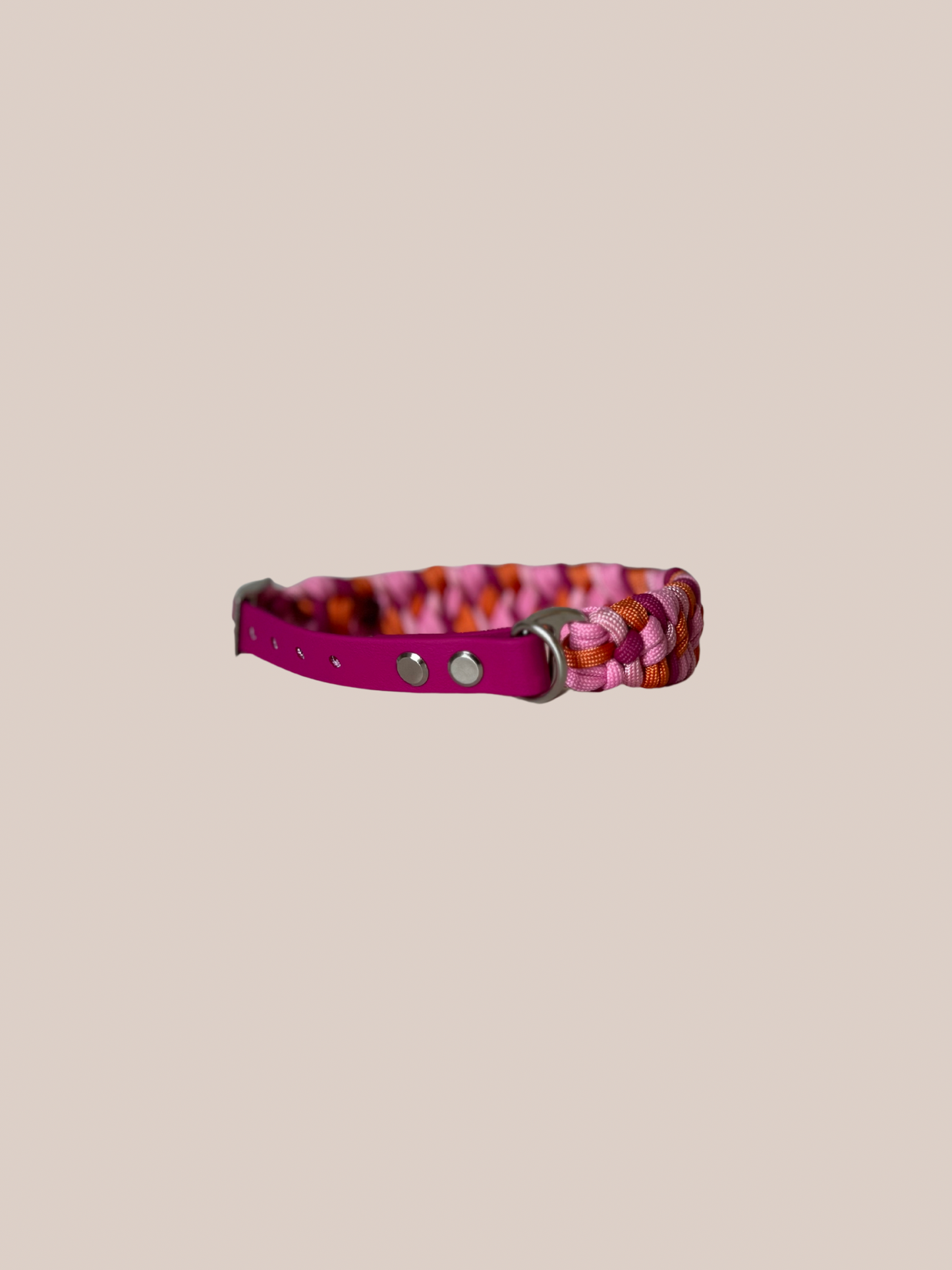 Individuell erstellbar | Halsband Lupia | kleine und mittelgroße Hunde