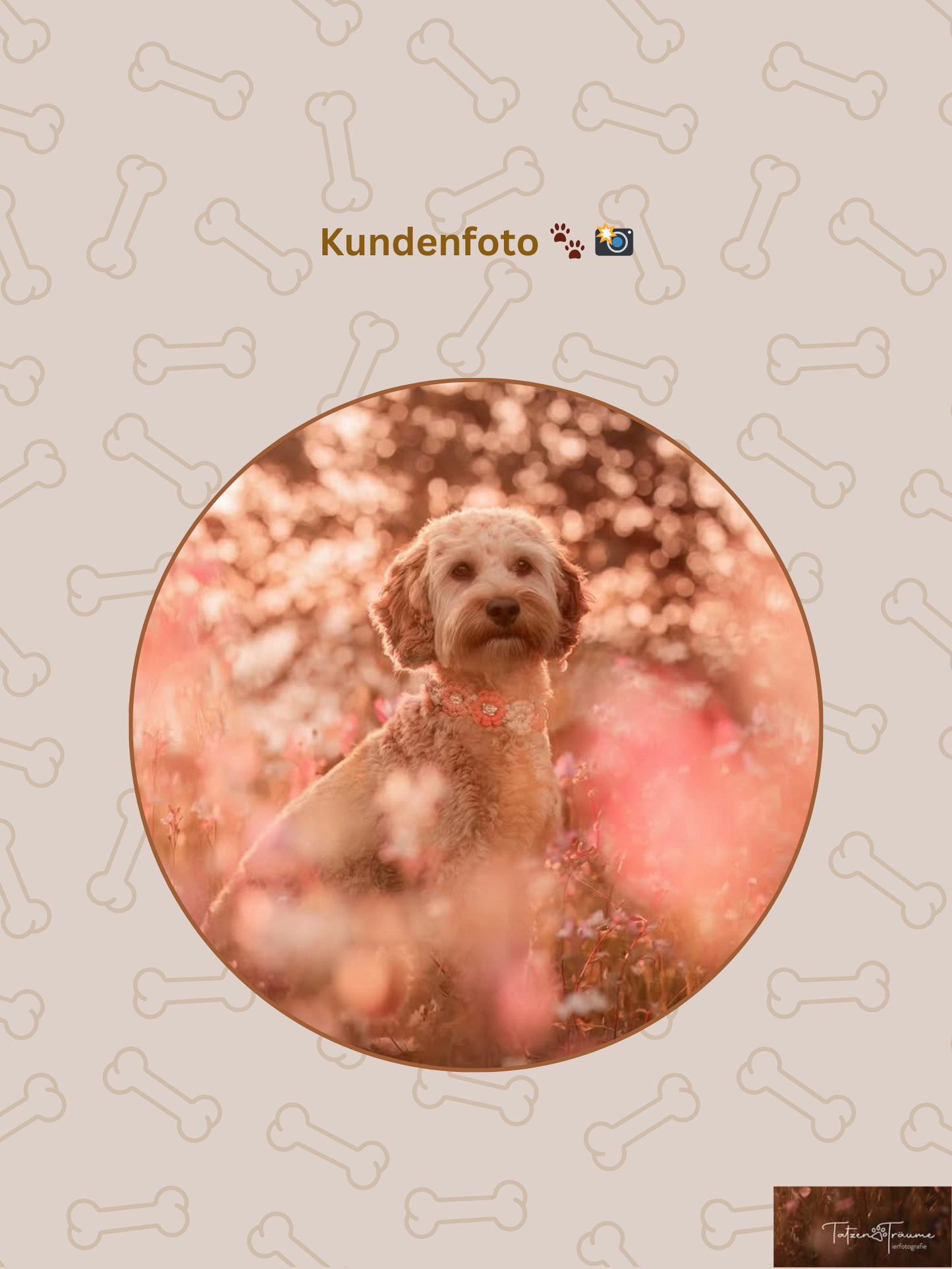 Individuell erstellbar | Halsband Flower | mittelgroße und große Hunde