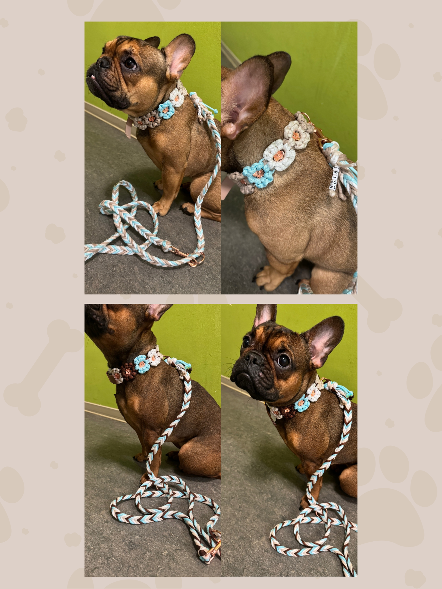 Individuell erstellbar | Halsband Flower | mittelgroße und große Hunde