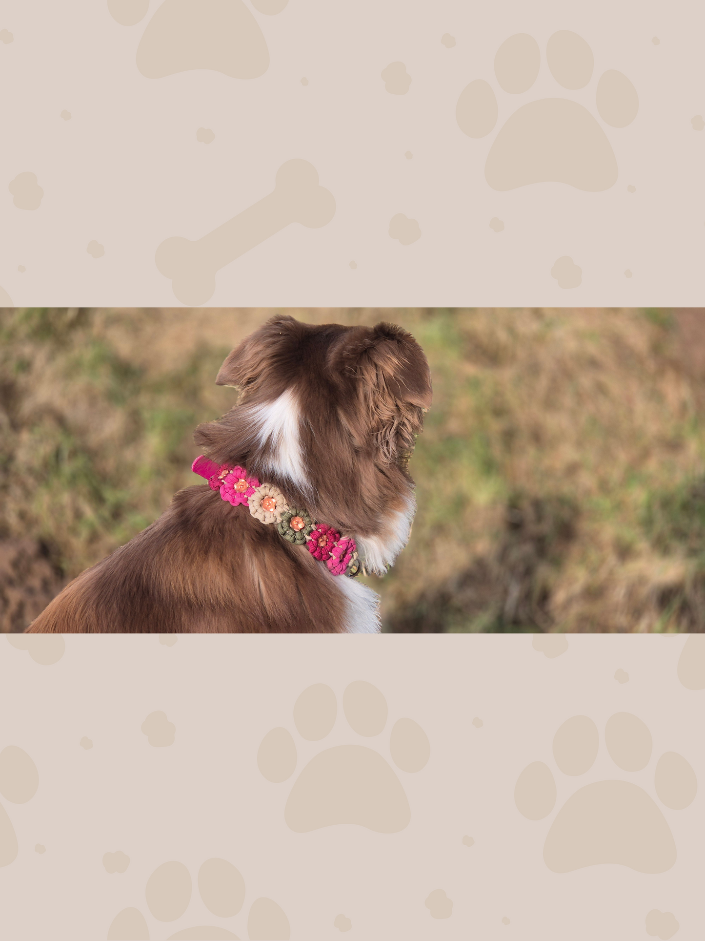 Individuell erstellbar | Halsband Flower | mittelgroße und große Hunde