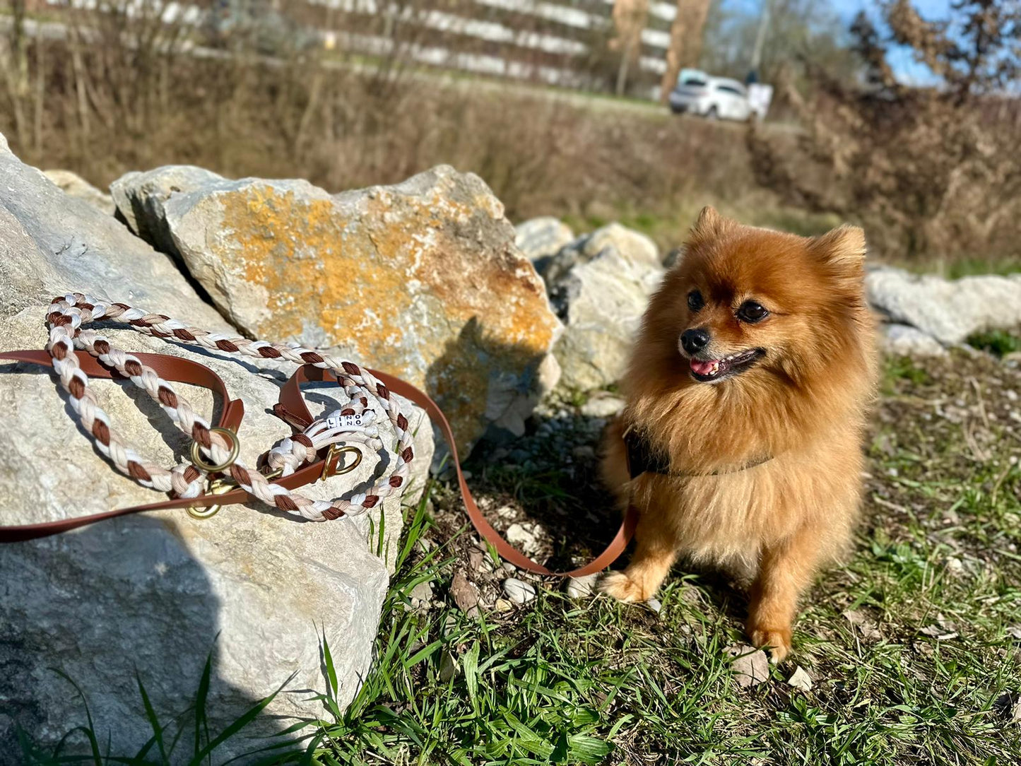 Customizable dog leash | Paracord x Biothane