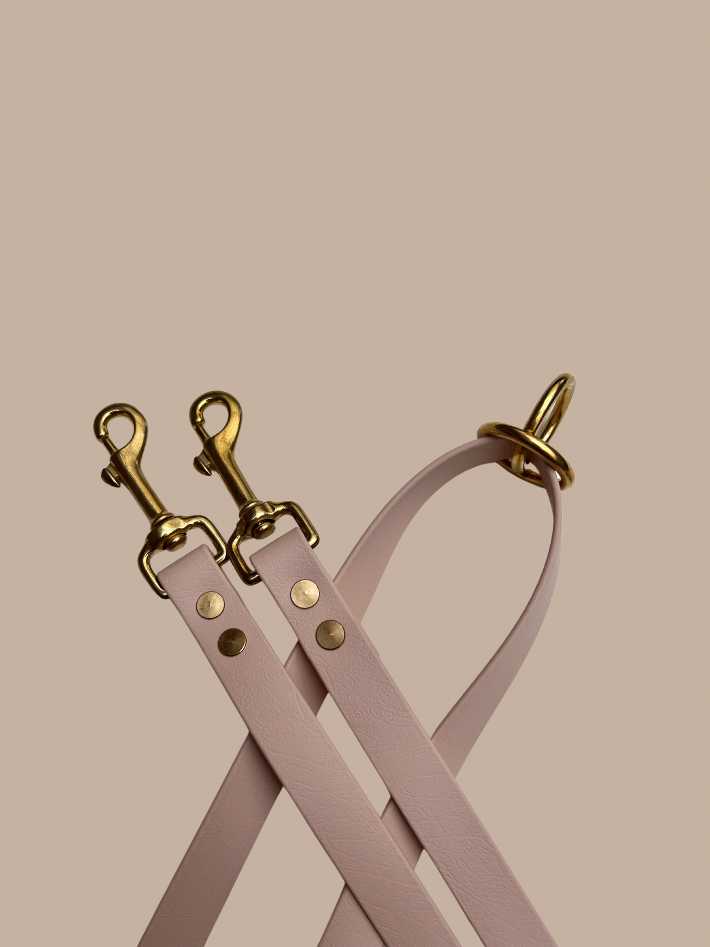 Buy Now | Biothane Dog Leash 2m | beige