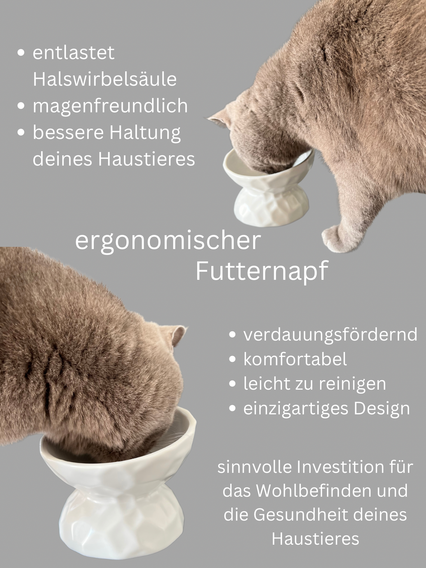 Ergonomic feeding bowl