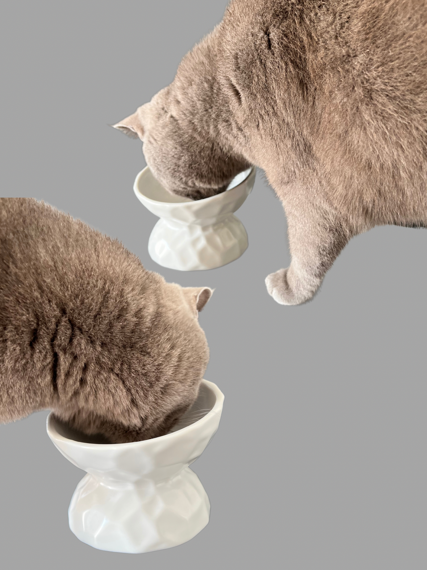 Ergonomic feeding bowl