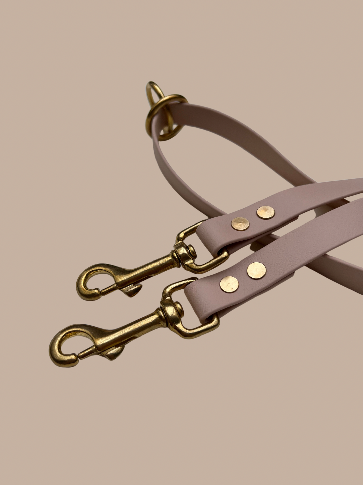 Buy Now | Biothane Dog Leash 2m | beige