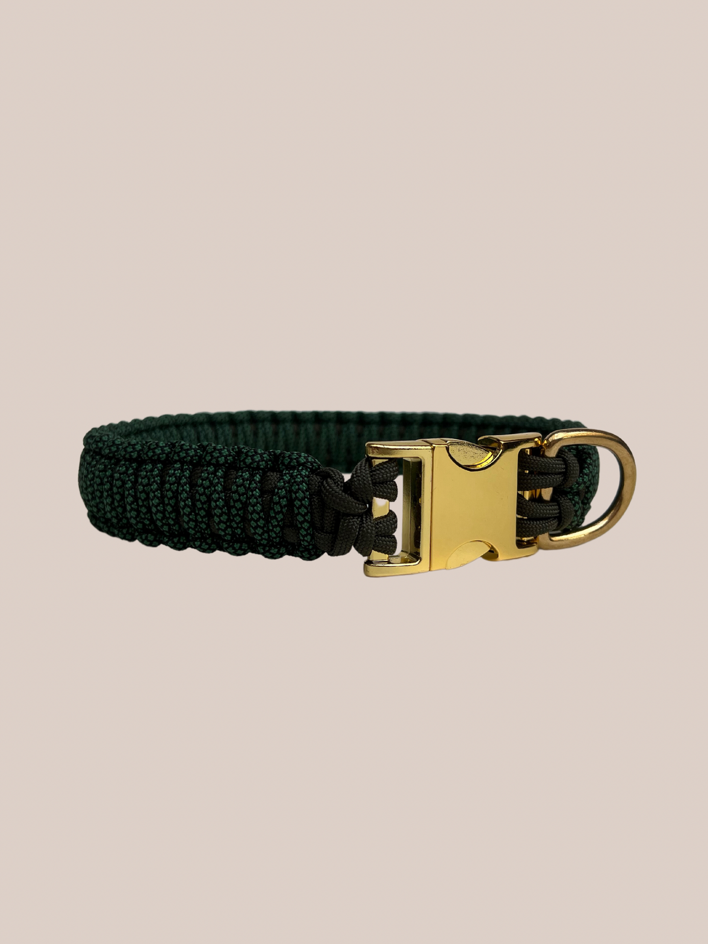 Customizable | King Cobra collar | Medium and large dogs
