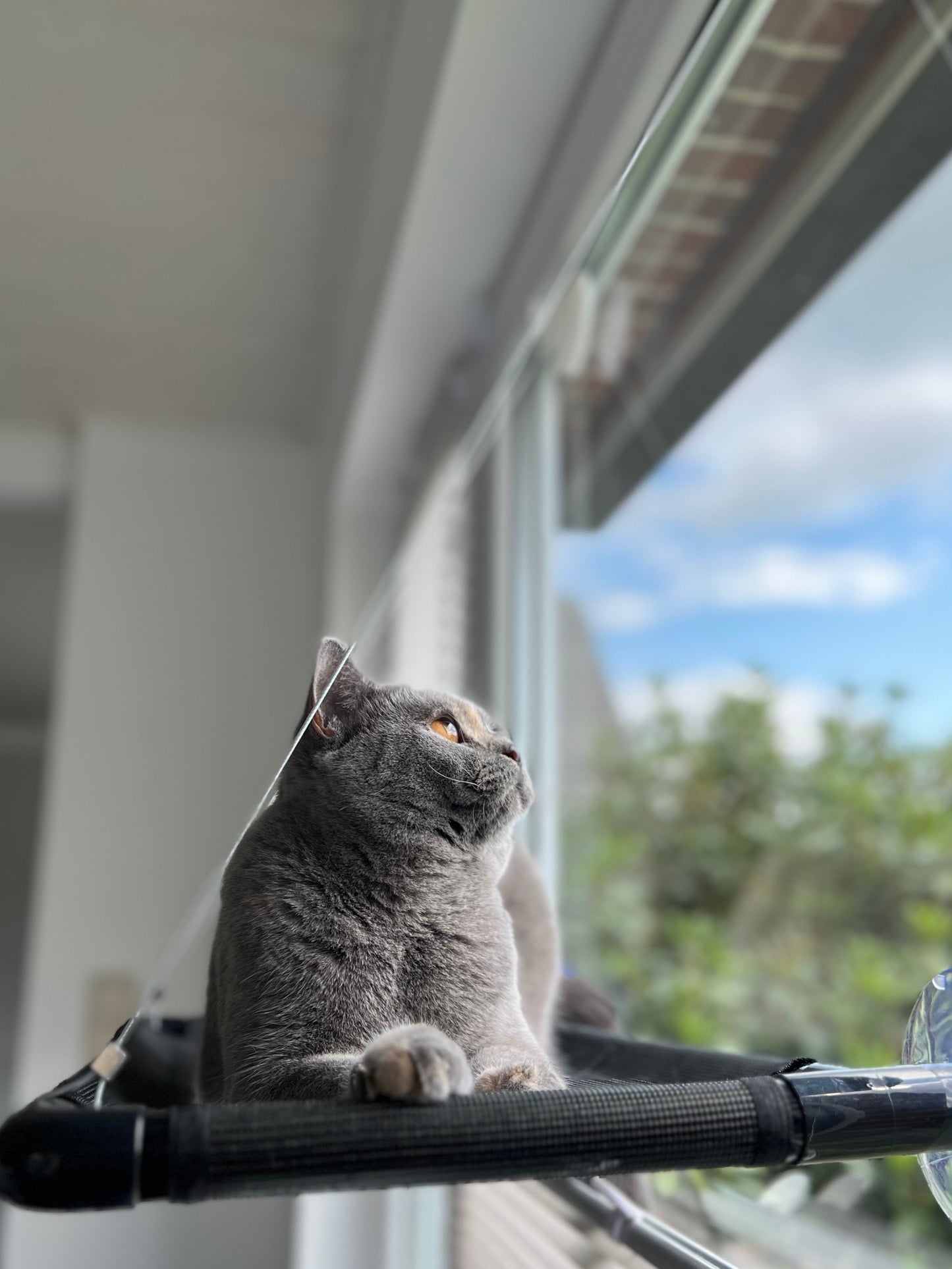 Window lounger