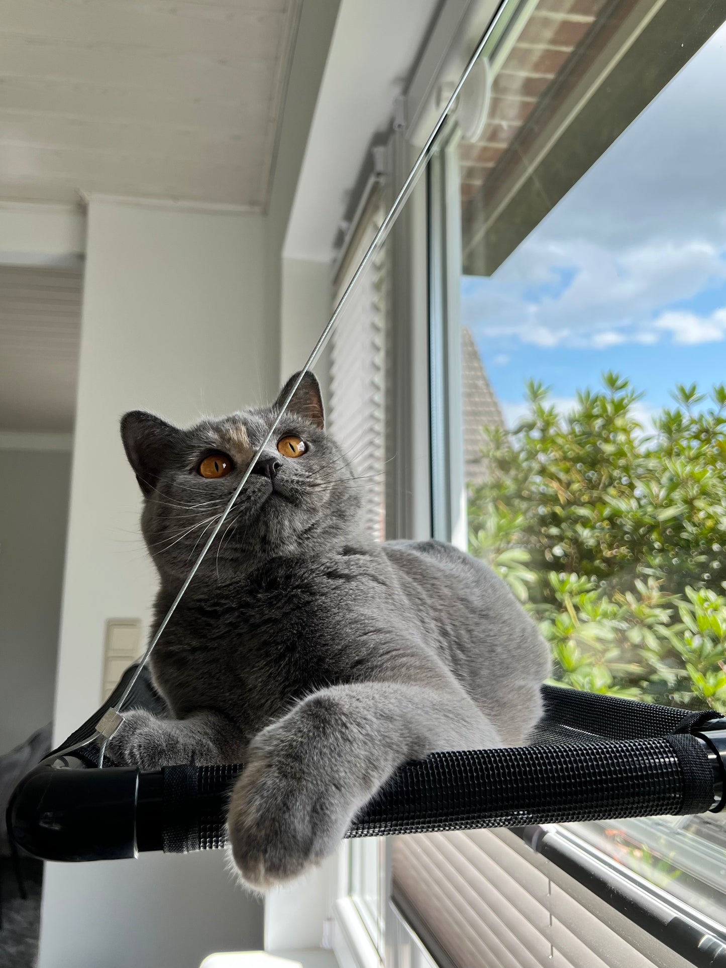 Window lounger