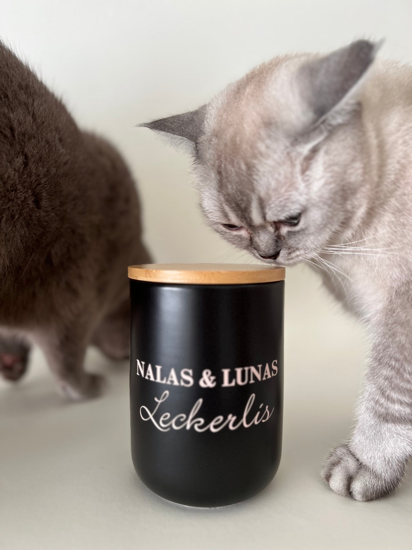 Treat tin | Cats and dogs 800 ml | personalized
