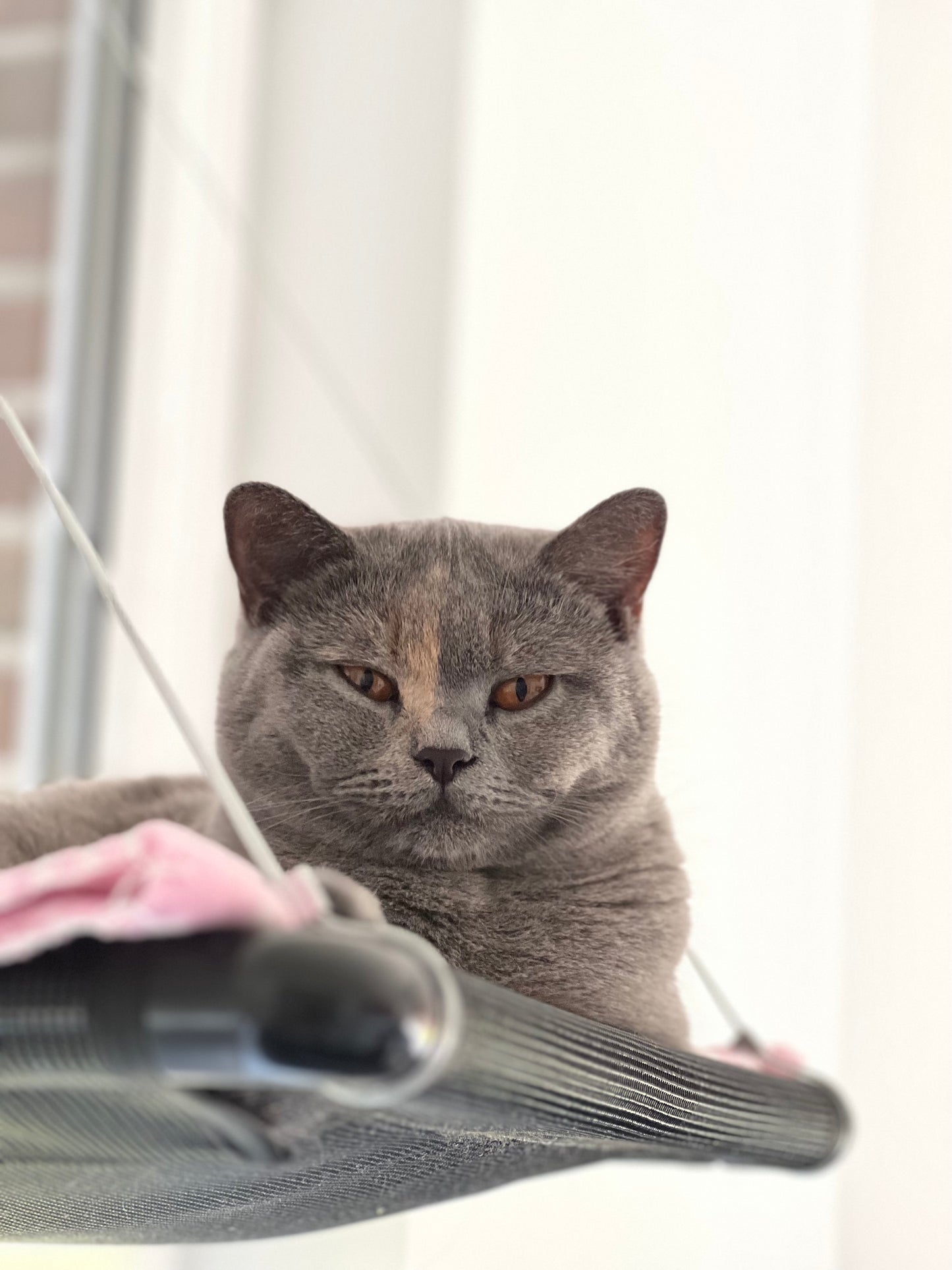 Window lounger
