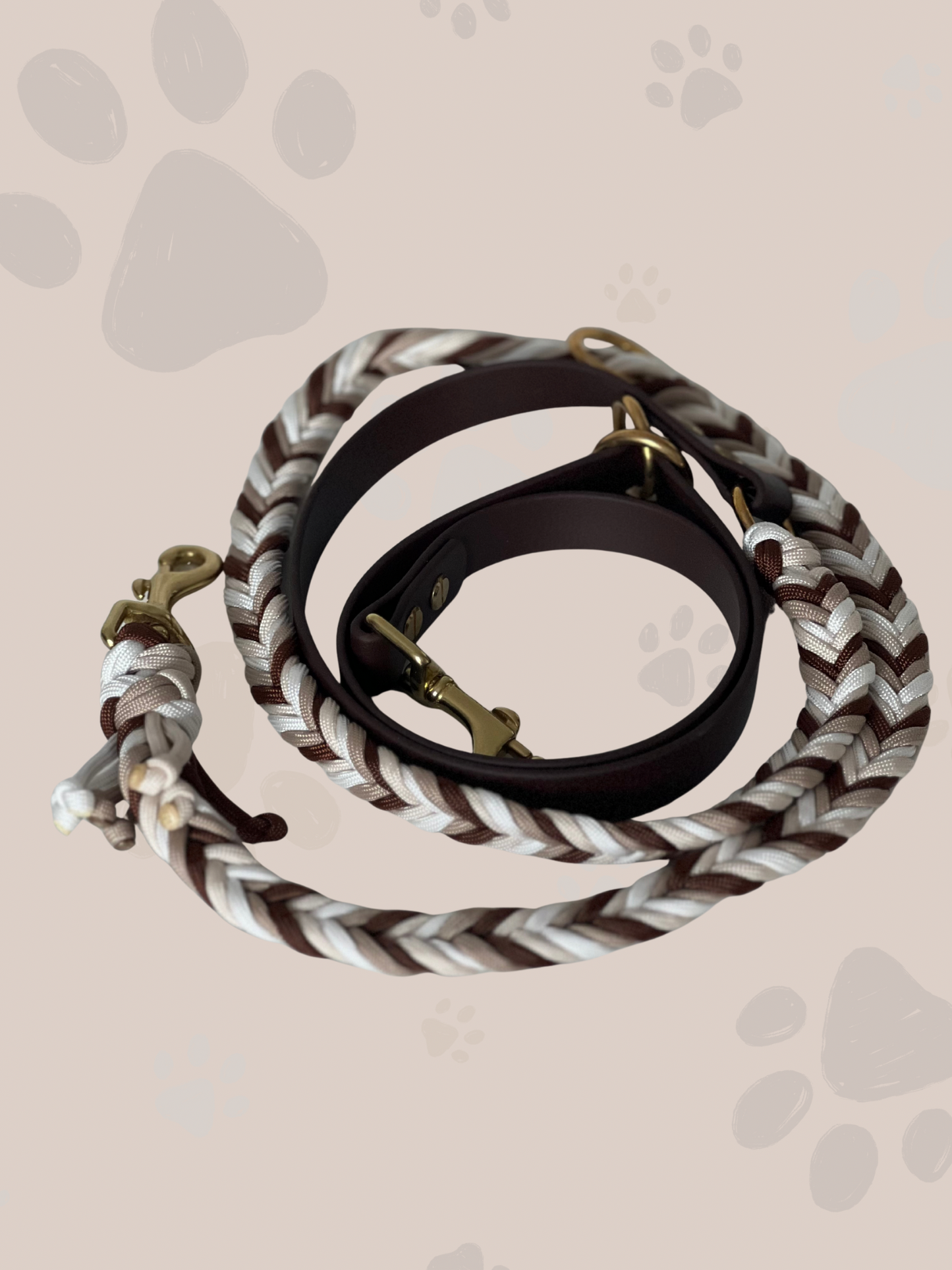 Sofortkauf | Paracord x Biothane Leine 2m