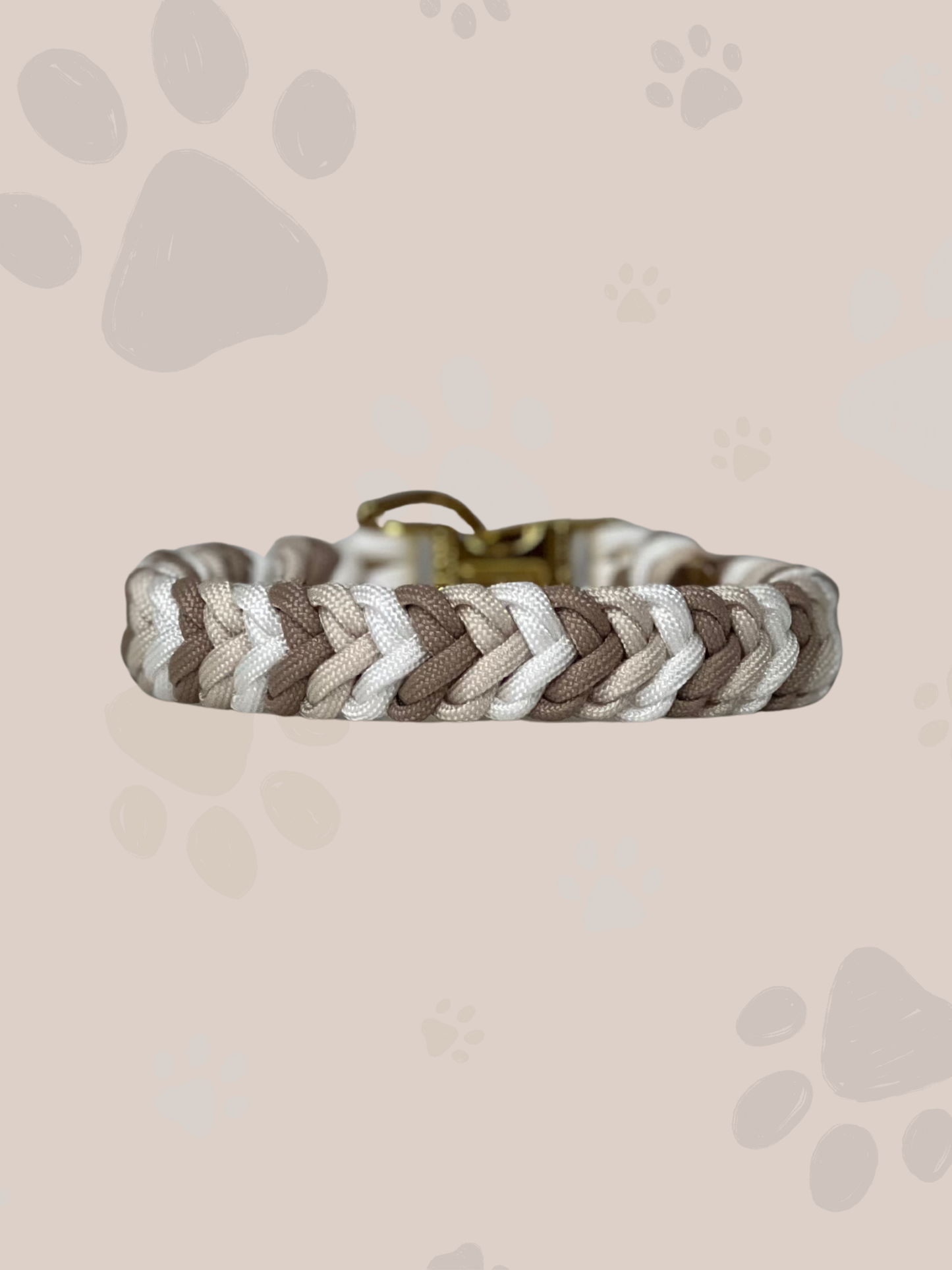 Individuell erstellbar | Halsband Cordy | sehr kleine und kleine Hunde