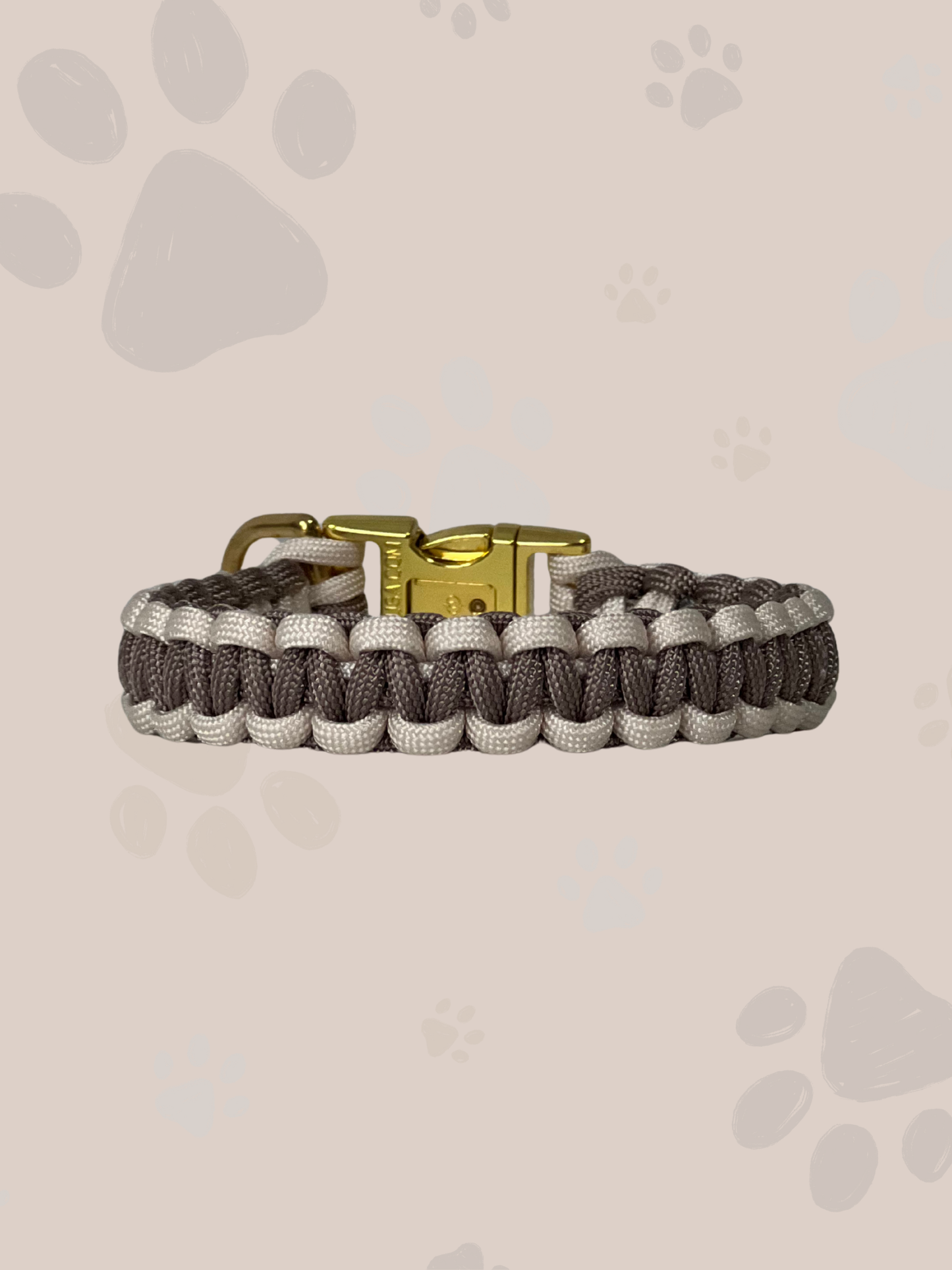 Individuell erstellbar | Halsband Cobra | sehr kleine und kleine Hunde