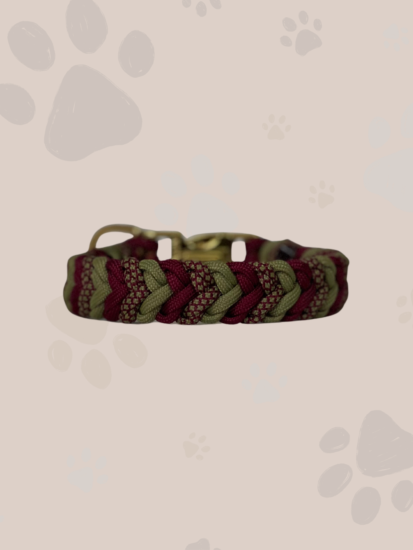 Individuell erstellbar | Halsband Cordy | sehr kleine und kleine Hunde