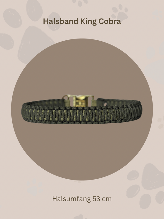 Sofortkauf | Halsband King Cobra | 53cm