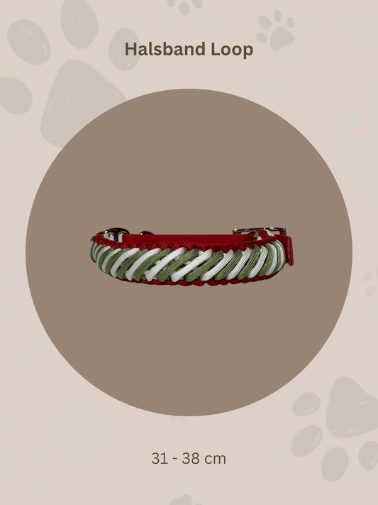 Sofortkauf | Halsband Loop | 31-38cm