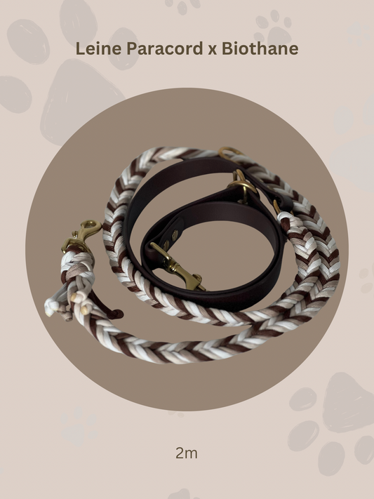 Sofortkauf | Paracord x Biothane Leine 2m