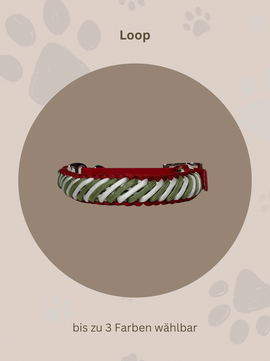 Individuell erstellbar | Halsband Loop | kleine und mittelgroße Hunde