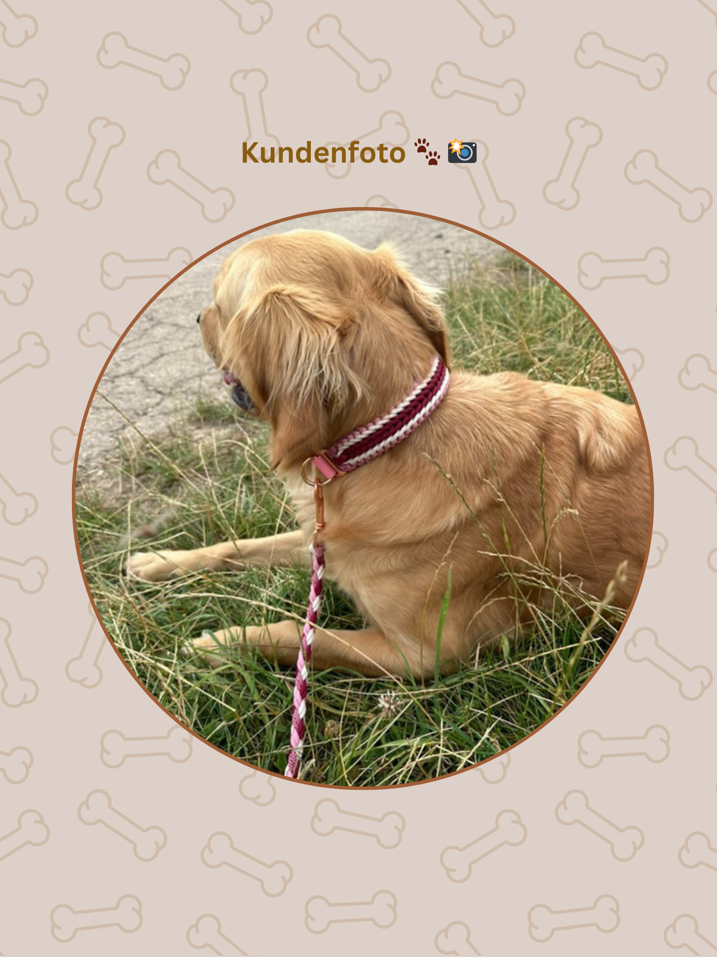 Individuell erstellbar | Halsband Weave | mittelgroße und große Hunde
