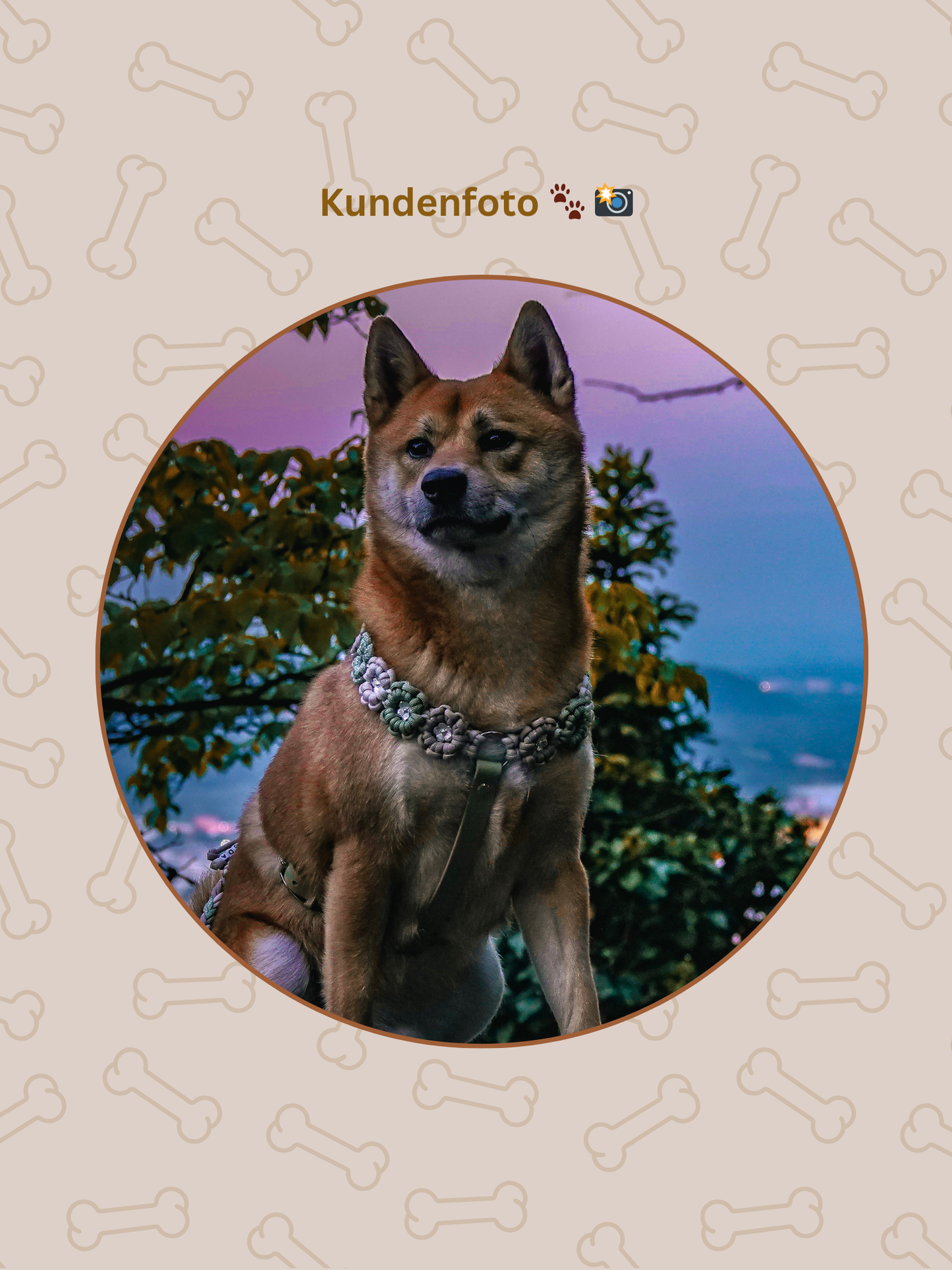 Individuell erstellbar | Geschirr Flower | alle Hundegrößen