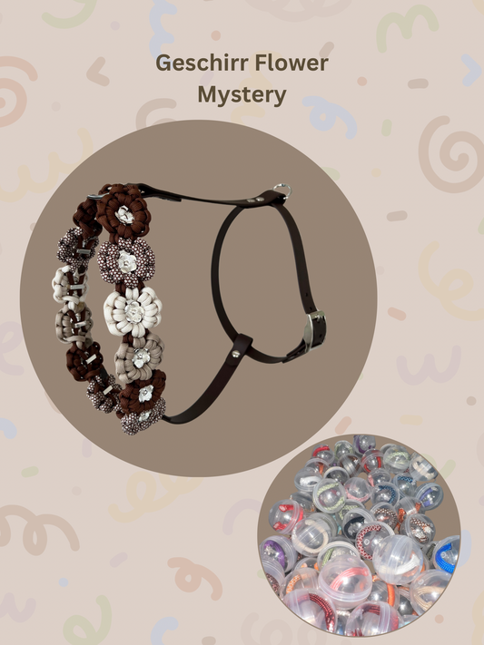 Mystery Box Dog Leash | Paracord | Random Colors