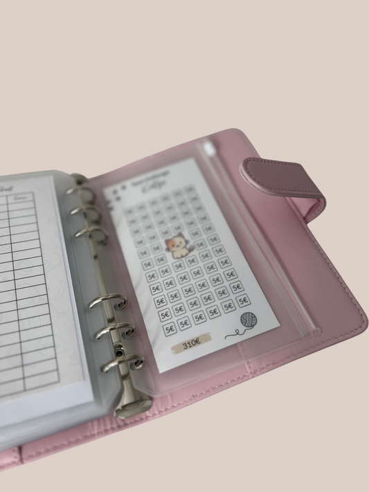 Savings challenge for budget binders | Cat &amp; Dog