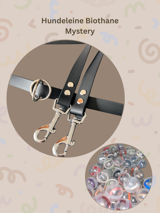 Mystery Box Dog Leash | Paracord | Random Colors