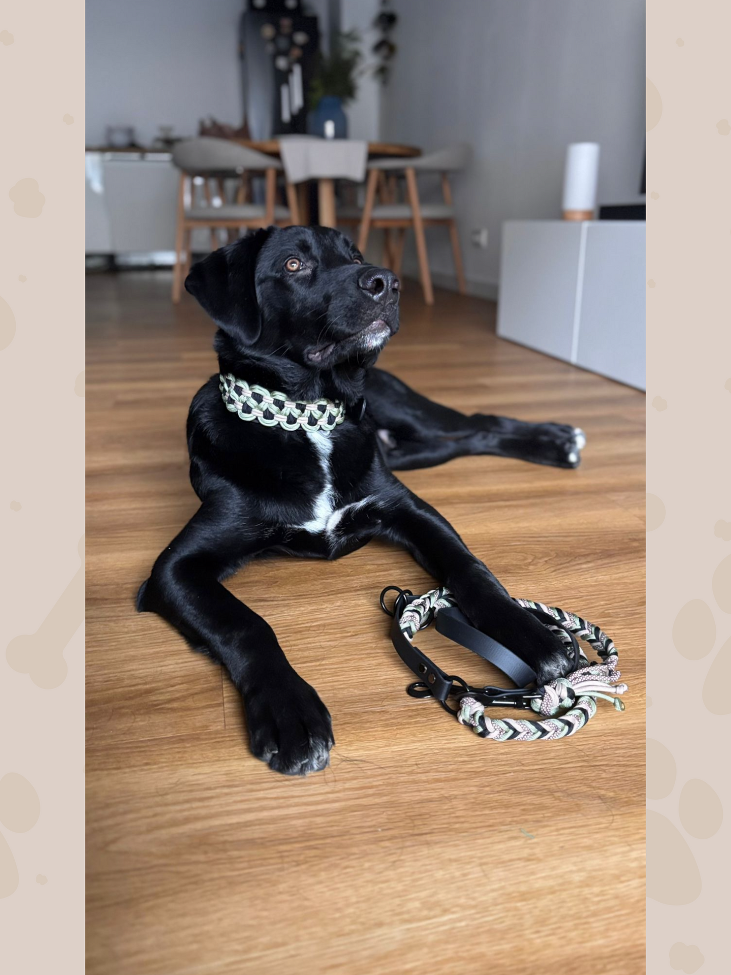 Customizable dog leash | Paracord x Biothane