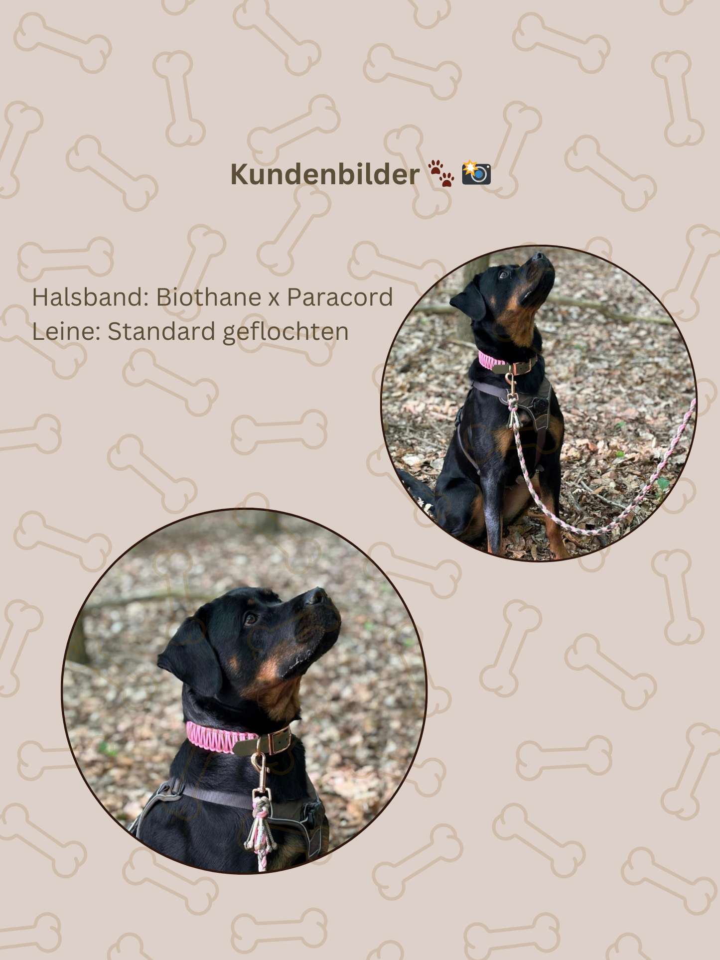 Customizable | Biothane x Paracord collar | Medium and large dogs