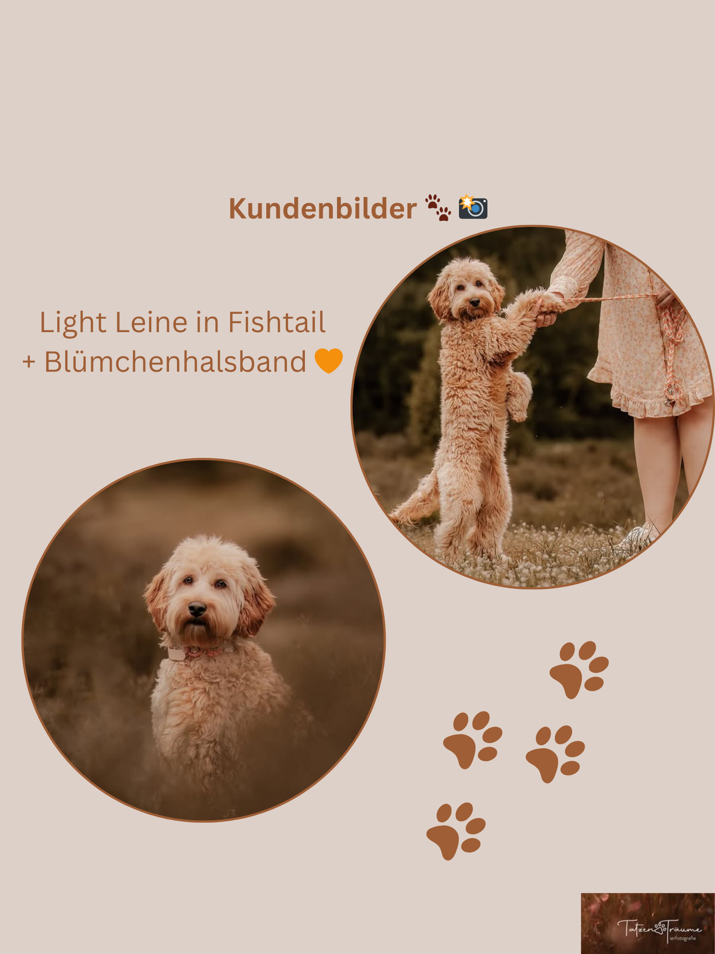 Individuell erstellbare Hundeleine | Fishtail Light Leine | 3 Farben wählbar