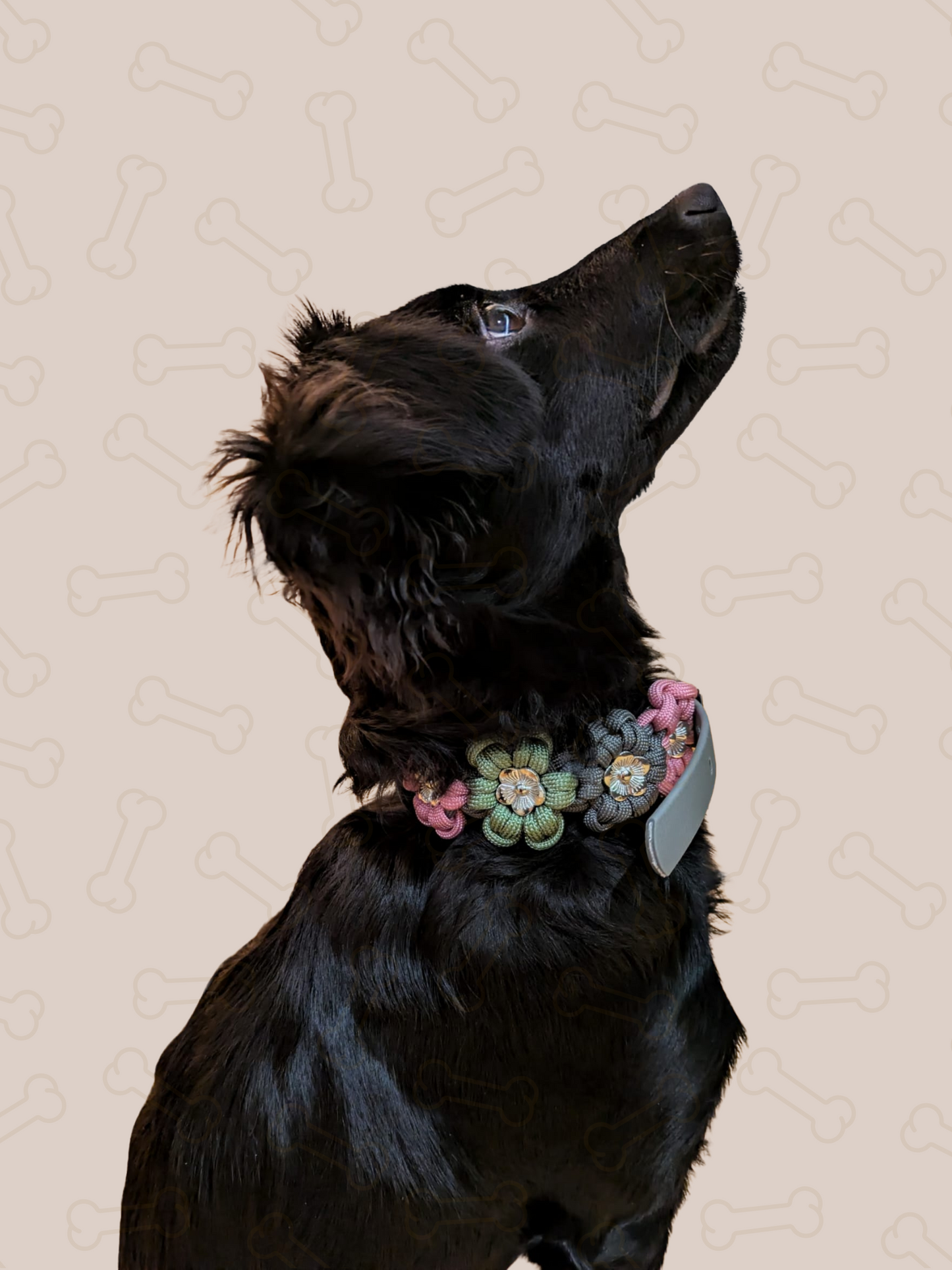 Customizable | Flower collar for minis | very small and small dogs