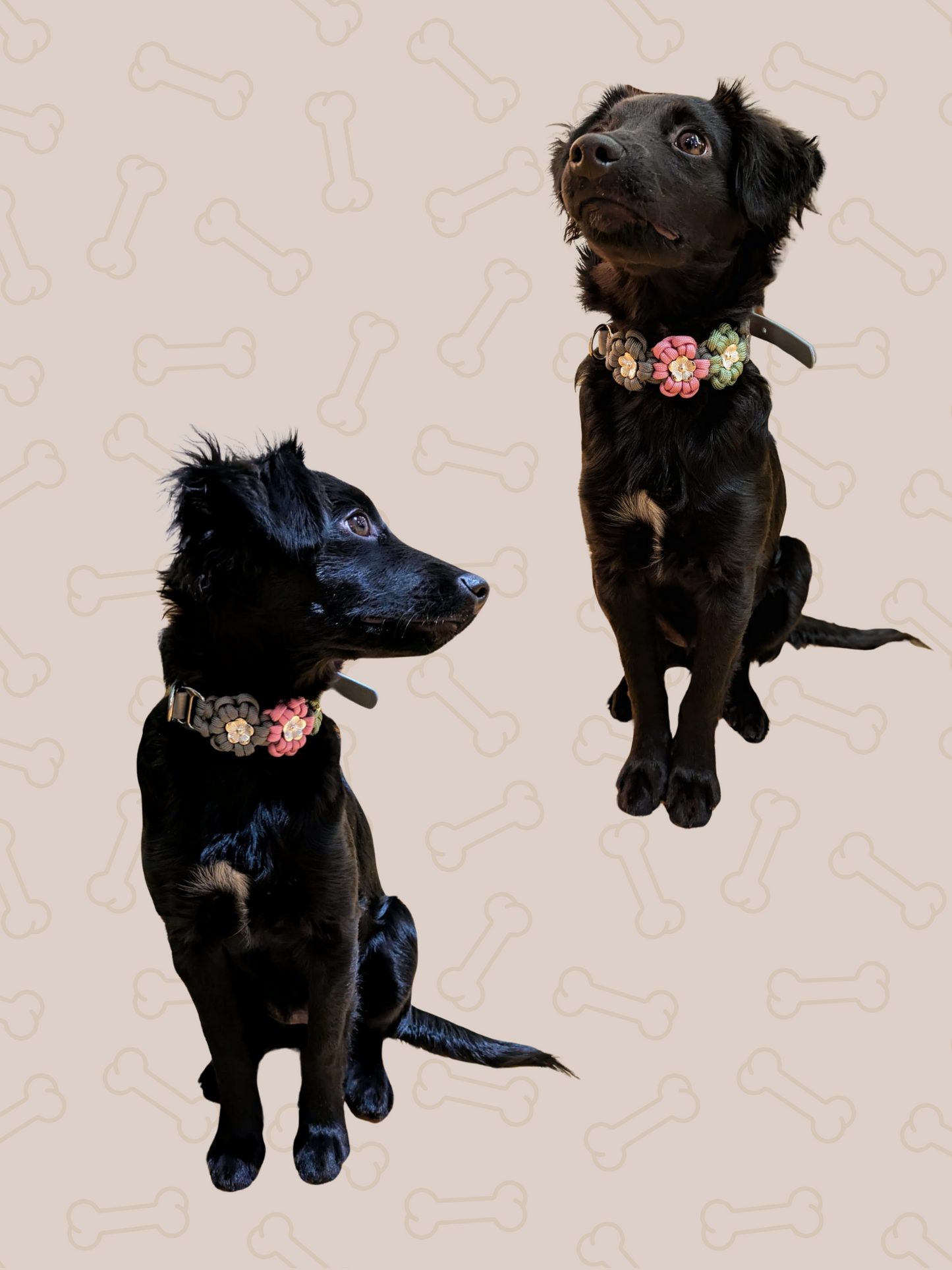Customizable | Flower collar for minis | very small and small dogs