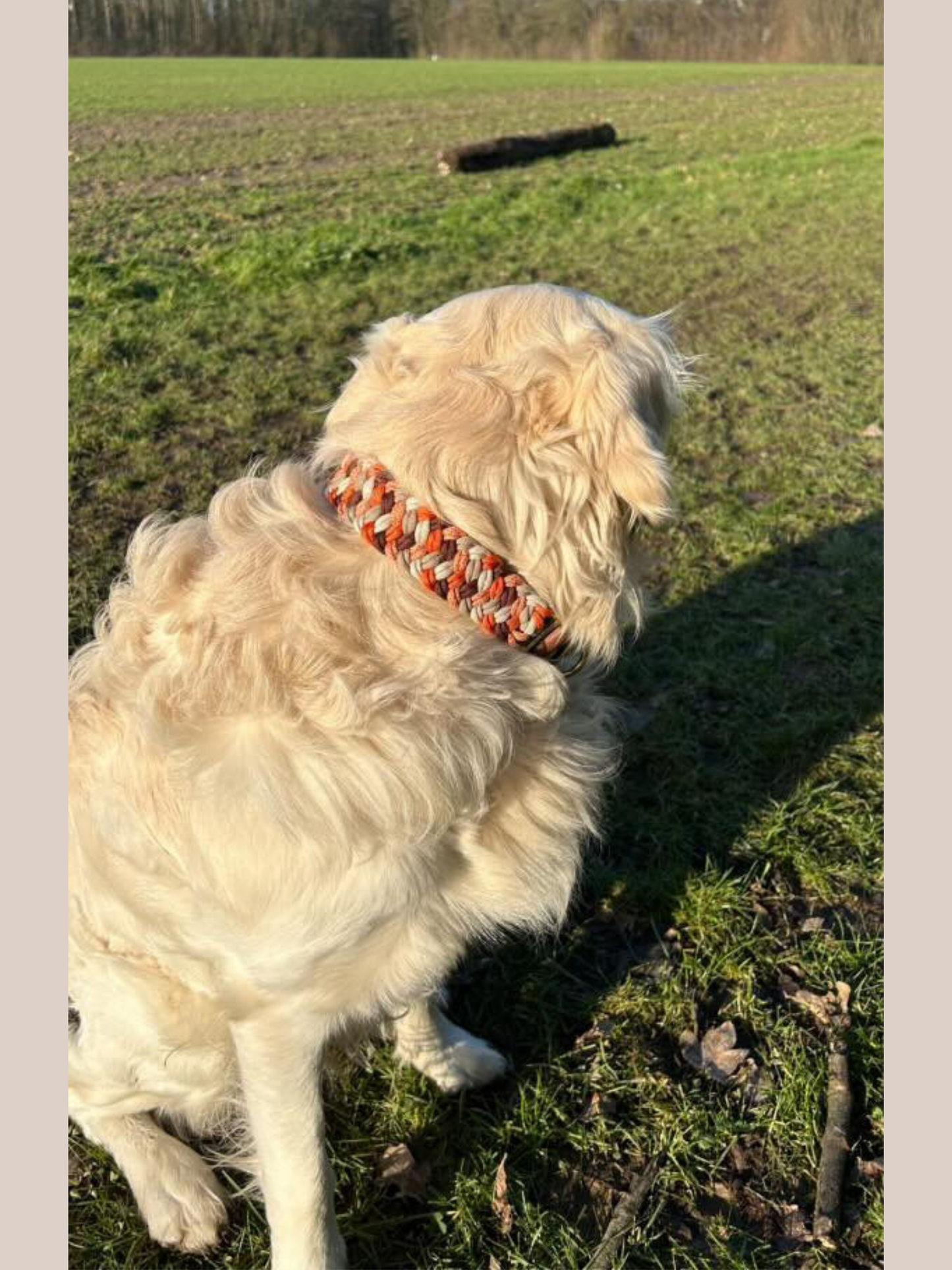 Customizable | Lupra collar | medium and large dogs