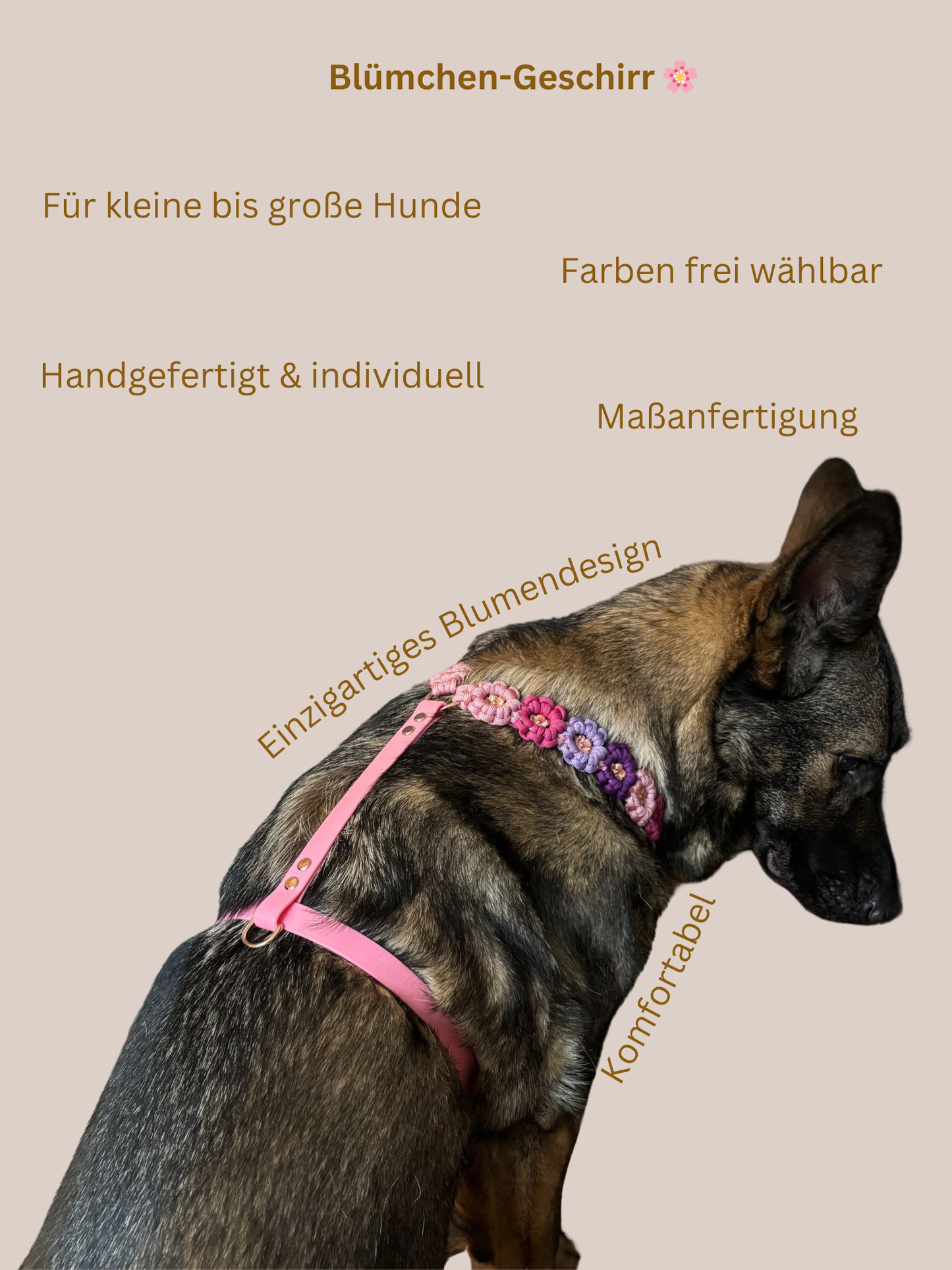 Individuell erstellbar | Geschirr Flower | sehr kleine bis sehr große Hunde