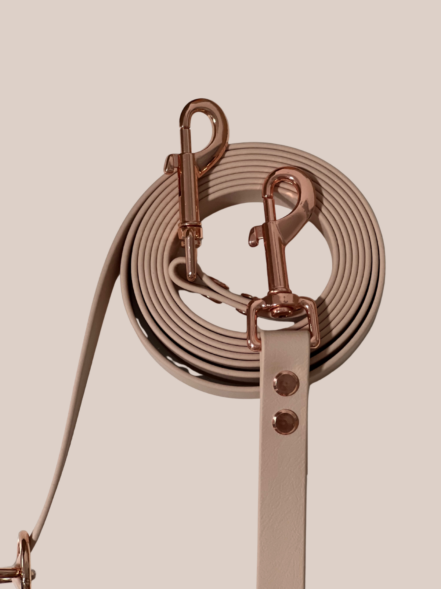 Biothane dog leash | individually adjustable