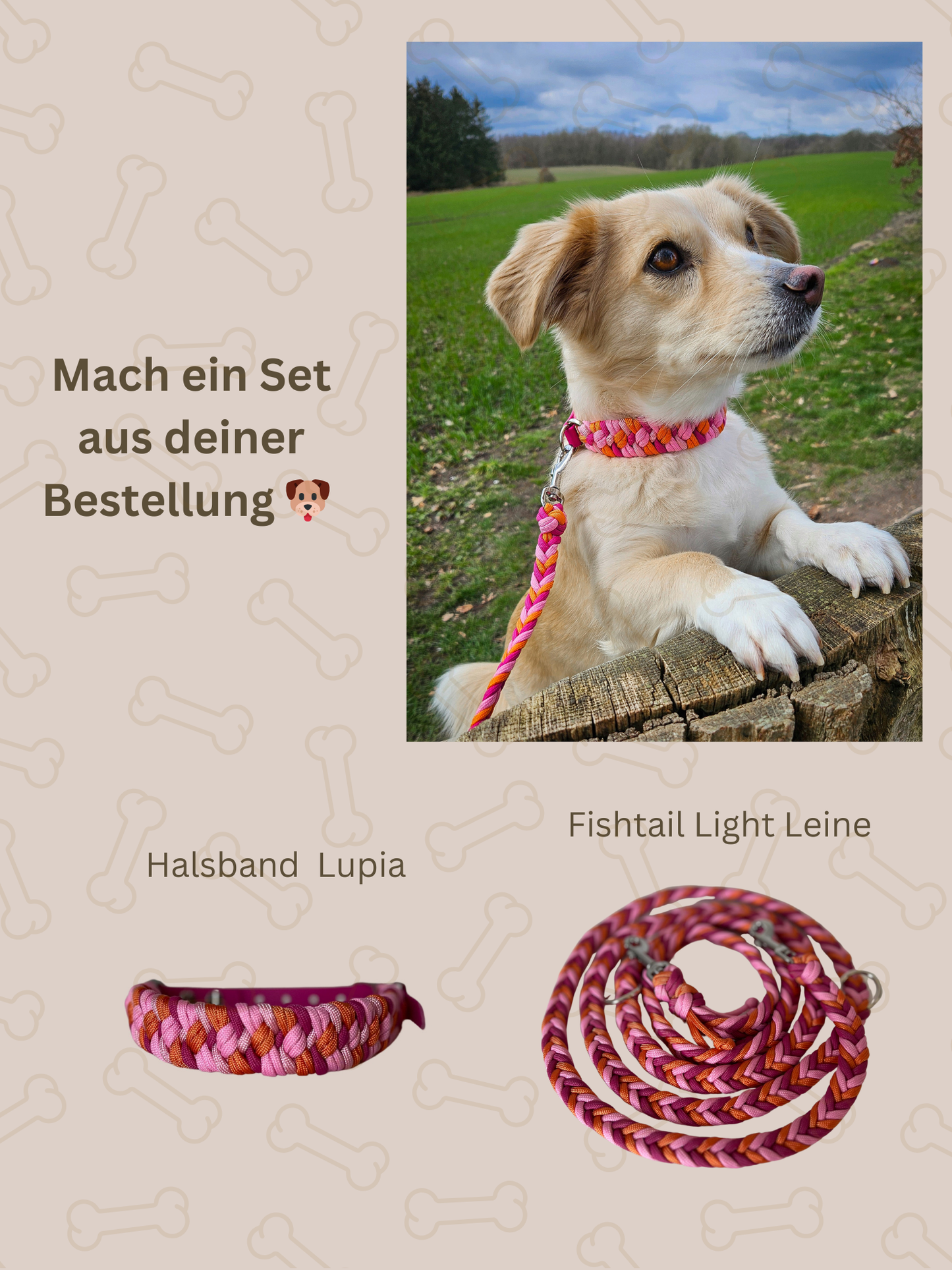 Individuell erstellbare Hundeleine | Fishtail Light Leine | 3 Farben wählbar